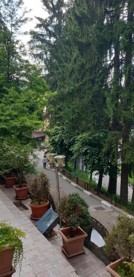 Rosa Villa Băile Olăneşti Εξωτερικό φωτογραφία