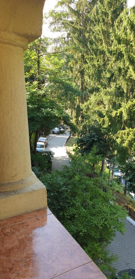 Rosa Villa Băile Olăneşti Εξωτερικό φωτογραφία