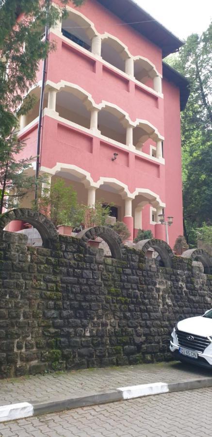 Rosa Villa Băile Olăneşti Εξωτερικό φωτογραφία
