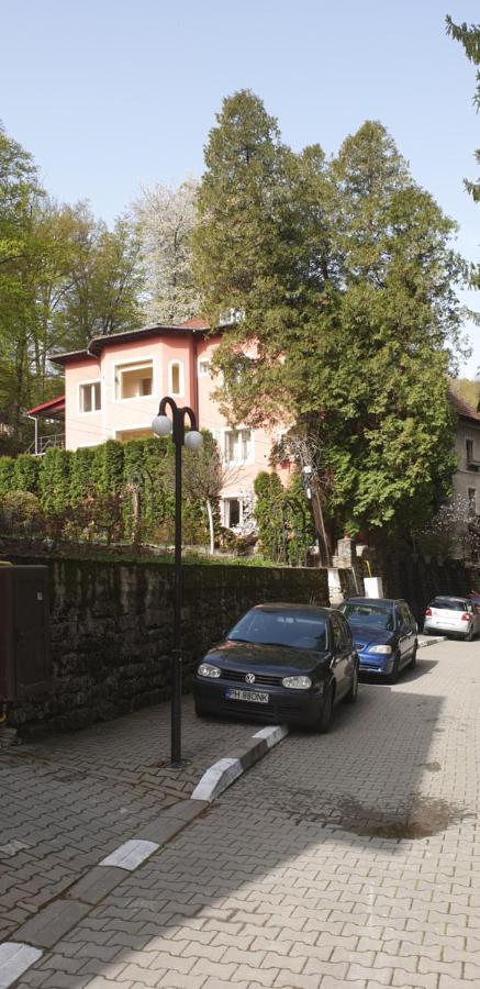Rosa Villa Băile Olăneşti Εξωτερικό φωτογραφία