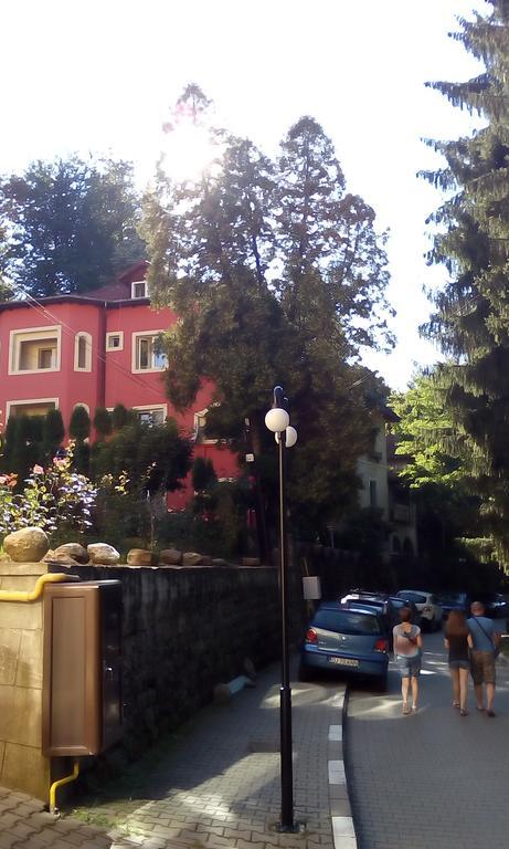 Rosa Villa Băile Olăneşti Εξωτερικό φωτογραφία